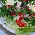 Klassmo Kulturcafe&gaestehaus Mit Kulturwerkstatt 卢肯瓦尔德