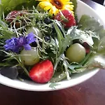 Klassmo Kulturcafe&gaestehaus Mit Kulturwerkstatt * 卢肯瓦尔德