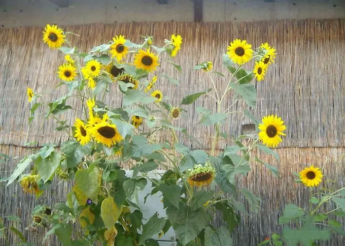 Klassmo Kulturcafe&gaestehaus Mit Kulturwerkstatt *